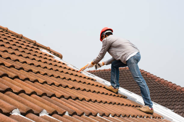 Best Roof Insulation Installation  in Lone Pine, CA